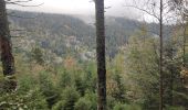 Randonnée Marche Orbey - Vallée des 5 lacs  - Photo 20