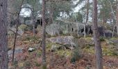 Tocht Stappen Fontainebleau - Franchard et l'arboretum  - Photo 6