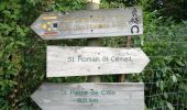 Trail Walking Saint-Jean-de-Côle - Saint-Jean de colle la côte 12 km - Photo 8