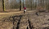 Trail Horseback riding Habay - Marbehan par le Trou du Bois - Photo 1