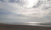 Tour Wandern La Teste-de-Buch - arcachon dune de pyla  - Photo 6