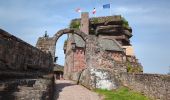 Excursión Senderismo Saverne - Saverne et ses châteaux  - Photo 12