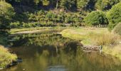 Tocht Stappen Bouillon - rando rochehaut 8/09/2020 - Photo 19