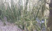 Percorso Marcia Brette - Diois J3 - Photo 2