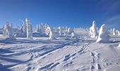 Percorso A piedi Posio - Riisin rääpäsy - Photo 1