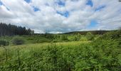 Tocht Stappen Gedinne - rando bourseigne vieille 15-06-2024 - Photo 18