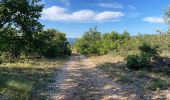 Trail Walking Banon - Le Largue  - Photo 6