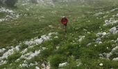 Percorso Marcia La Chapelle-en-Vercors - Balcons Est des Hauts Plateaux - Photo 1