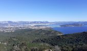 Excursión Senderismo Six-Fours-les-Plages - le brusc vers Notre-dame su mai - Photo 4