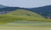 Percorso A piedi Čebín - Čebín - Zlobice - Photo 6