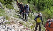 Percorso Marcia Châtillon-en-Diois - jocou sans jocou - Photo 1