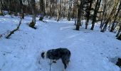 Randonnée Marche Stosswihr - Les 3 Fours - col de la Schlucht - Photo 7