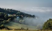 Tour Zu Fuß Bad Staffelstein - Banzrundweg - Photo 8