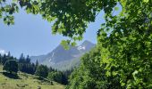 Tocht Stappen Le Haut-Bréda - Refuge Combe Madame de Fond de France / la Marmottane  - Photo 8