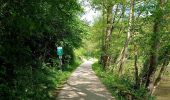 Tour Wandern Ferrières - Promenade des cretes - Photo 11