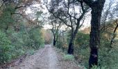 Trail Walking Pignans - Sainte Marie des Anges 15,8 km - Photo 1