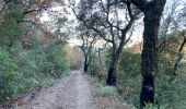 Randonnée Marche Pignans - Sainte Marie des Anges 15,8 km - Photo 1