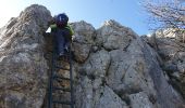 Excursión Senderismo Le Revest-les-Eaux - Le Mont Caume - Photo 1