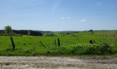 Trail Walking Sainte-Ode - BeauPlateau - Photo 18