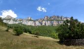 Excursión Senderismo Châtillon-en-Diois - Cirque d'Archiane - Les Hauts Plateaux du Vercors - Photo 8