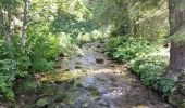 Tour Zu Fuß Plaffeien - Schwarzsee Bad Seeweid - fixme - Photo 4