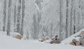 Tocht Sneeuwschoenen Belmont - cascade de la serva - Photo 6