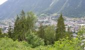 Randonnée Marche Chamonix-Mont-Blanc - Chamonix départ parking du Biolay derrière cimetière  - Photo 20