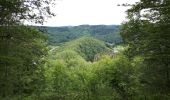 Percorso Marcia Bouillon - Corbion - Bouillon 1 - Photo 9