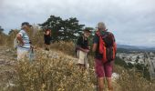 Trail Walking Sisteron - Sisteron  - Photo 9