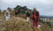 Tour Wandern Sisteron - Sisteron  - Photo 9