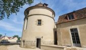 Tocht Stappen Chaumes-en-Brie - Châteaux autour de Chaumes en Brie - Photo 8