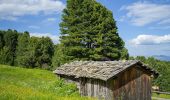 Tour Zu Fuß Villanders - AVS 6 - Gasserhütte - Schloss Reinegg - Photo 9