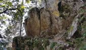 Excursión Senderismo Le Valtin - Col de la Schlucht - sentier des Roches - Petit Honneck - Honneck - Trois Fours - Photo 3