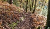 Randonnée Marche Vendôme - Forêt de Vendôme - Bois de l'Oratoire - Photo 17