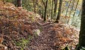 Trail Walking Vendôme - Forêt de Vendôme - Bois de l'Oratoire - Photo 17