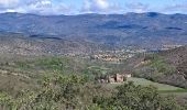 Trail Walking Prades - Canal de Boera - Abbaye St Michel-de-Cuxa - Taurinya - Tour de Corts en boucle - Photo 7