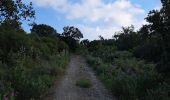 Trail Walking Hyères - N3 1er Borrels - Photo 7