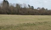 Trail Walking Schalkenmehren - Eifel Maaren - Photo 16