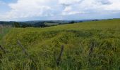 Tocht Stappen Golinhac - live Golinhac - Conques  - Photo 19