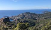 Randonnée Marche Saint-Raphaël - Autour des Pics du Cap Roux  et d'Aurelle depuis Belle Barbe - Photo 9