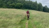 Trail Horseback riding Dabo - Tour de dabo Tivio Joyeux  - Photo 9