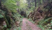 Tour Wandern La Fajolle - La forêt de La Fajolle - Photo 3