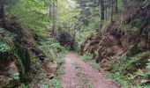 Excursión Senderismo La Fajolle - La forêt de La Fajolle - Photo 3