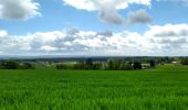 Percorso Marcia Xertigny - Xertigny : circuit n'5 les granges Richard 10-05-19 - Photo 3