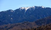 Excursión A pie Brașov - Brașov (Valea Cetății) - Culmea Crucuru - Cabana Postăvaru - Photo 3