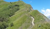 Excursión Senderismo Verchaix - col du jour plane . la bourgeoise . pointe d angolon  . nyon du crot . col de joux  plane  - Photo 13