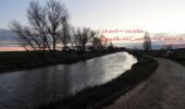 Tour Wandern Boadilla del Camino - 26.04.18 Boadilla del Camino--Carrion de los Condes - Photo 4