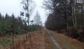 Trail Walking Sprimont - plain de fagne . adzeux . rouge thier . grand pierreux . plain de fagne - Photo 3
