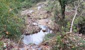 Randonnée Marche Mialet - Sentier de Roquefeuil- Mas Soubeyran - Photo 6