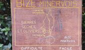 Excursión Senderismo Bize-Minervois - TBG - ACAD - Bize-Minervois - Photo 14
